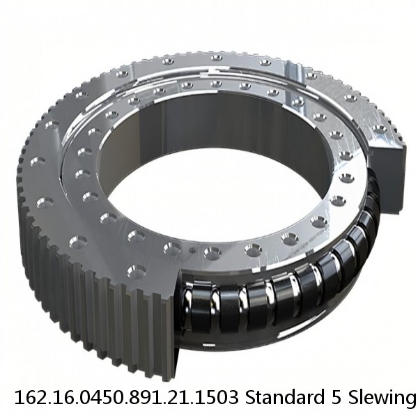 162.16.0450.891.21.1503 Standard 5 Slewing Ring Bearings