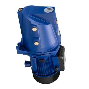 Denison PV29-2R1D-L02 Variable Displacement Piston Pump