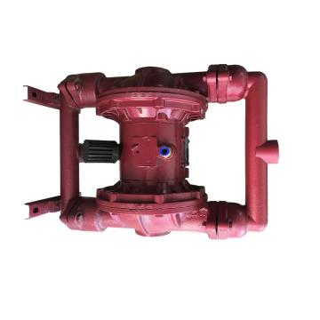 Denison PV20-2R1C-L00 Variable Displacement Piston Pump