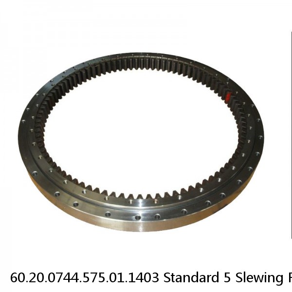 60.20.0744.575.01.1403 Standard 5 Slewing Ring Bearings