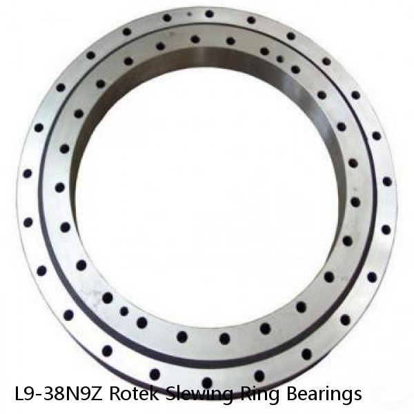 L9-38N9Z Rotek Slewing Ring Bearings