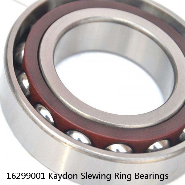 16299001 Kaydon Slewing Ring Bearings