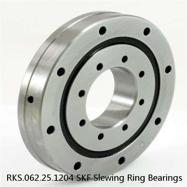 RKS.062.25.1204 SKF Slewing Ring Bearings