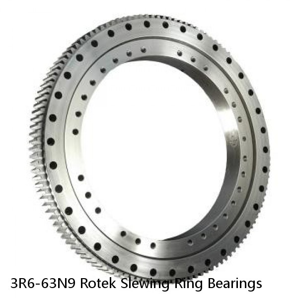 3R6-63N9 Rotek Slewing Ring Bearings