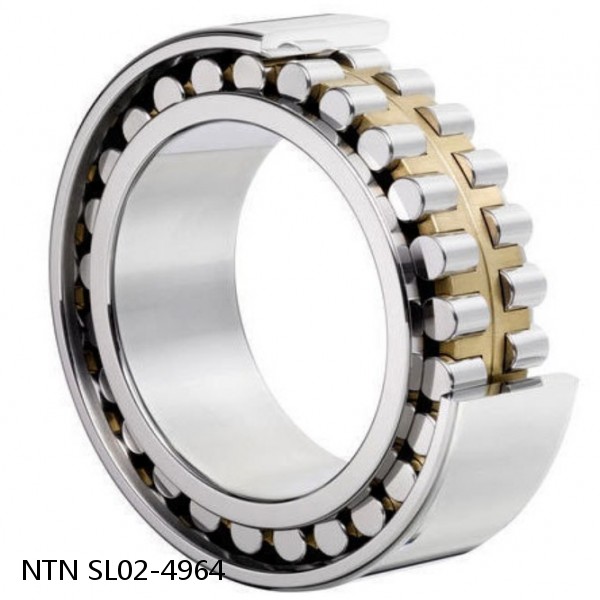 SL02-4964 NTN Cylindrical Roller Bearing