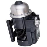 Denison PV29-1R1D-L00 Variable Displacement Piston Pump