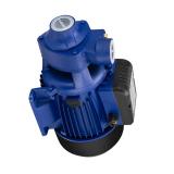 Rexroth A10VSO100DFLR/31R-PPA12K02 Axial Piston Variable Pump