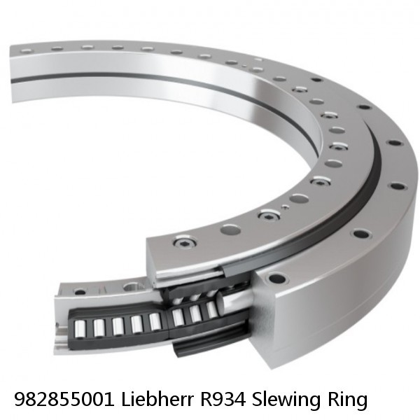 982855001 Liebherr R934 Slewing Ring