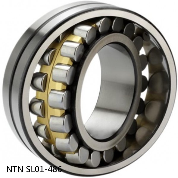 SL01-486 NTN Cylindrical Roller Bearing